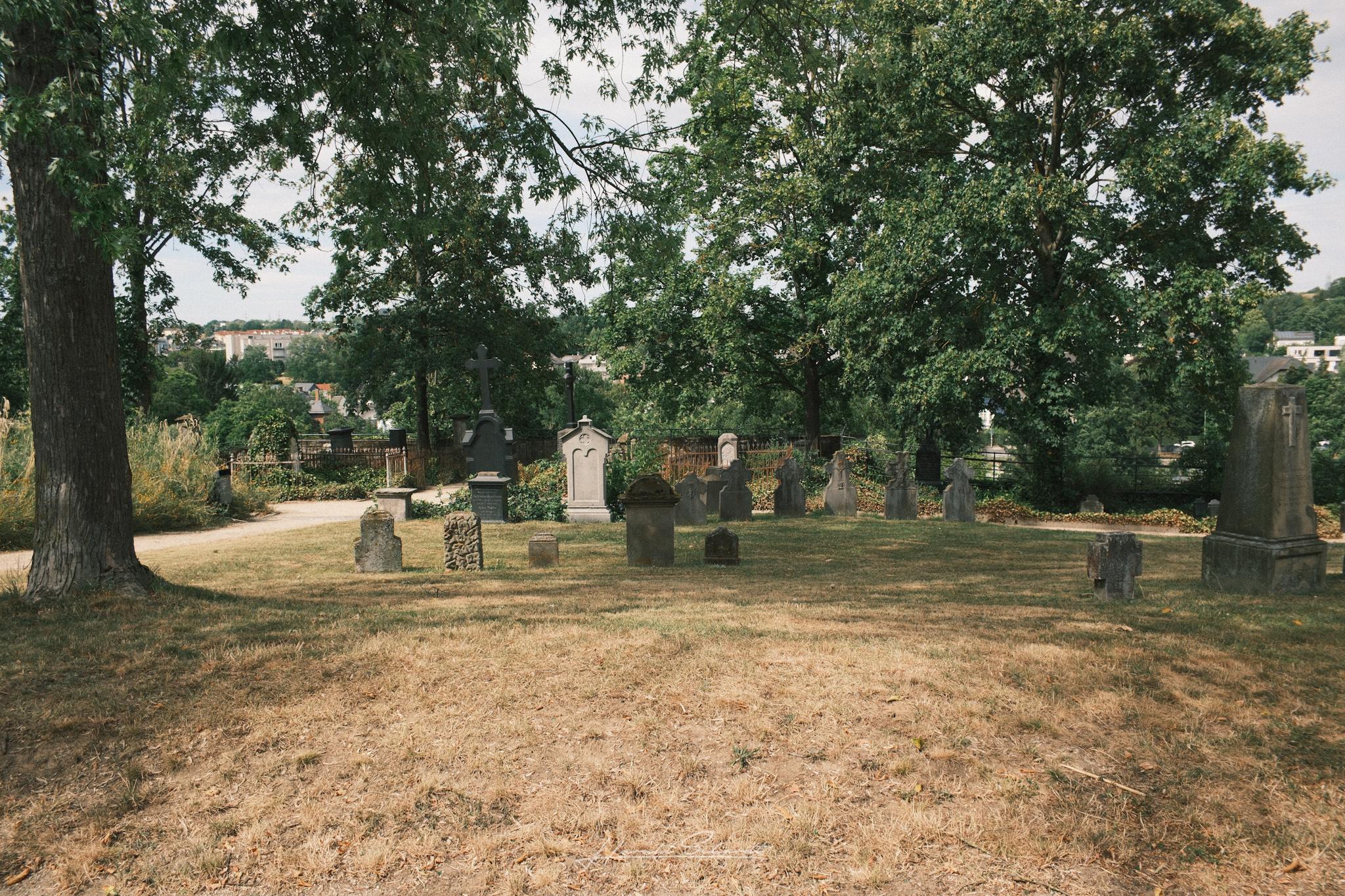 Old gravestones scattered across the dry grass of the cathedral cemetery beneath tall trees.