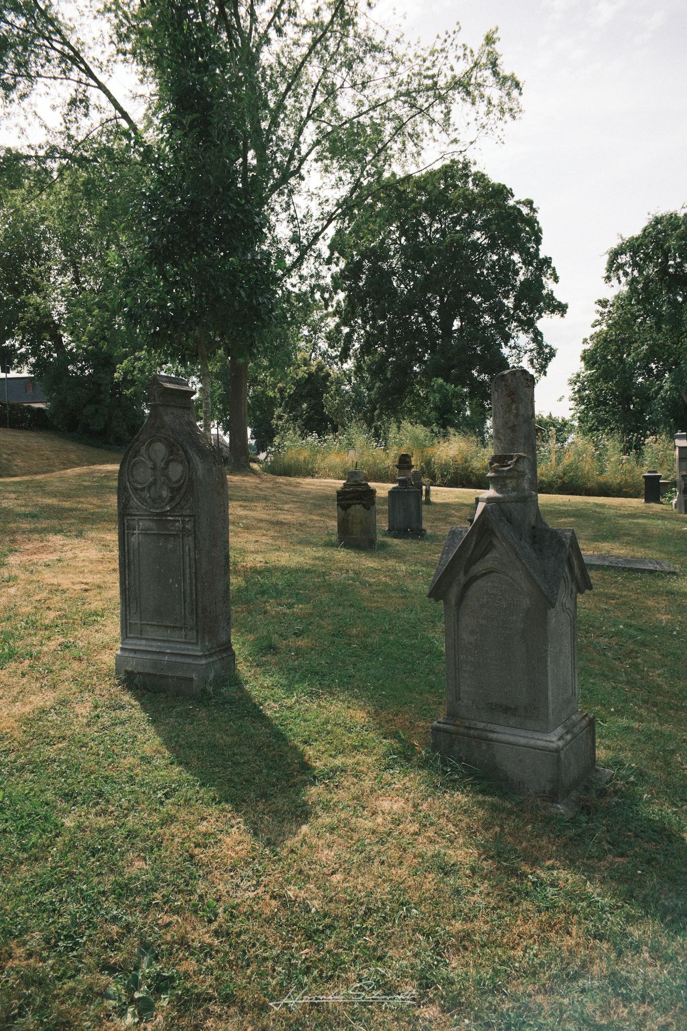 Several old gravestones standing in the shade of large trees in the cathedral cemetery.