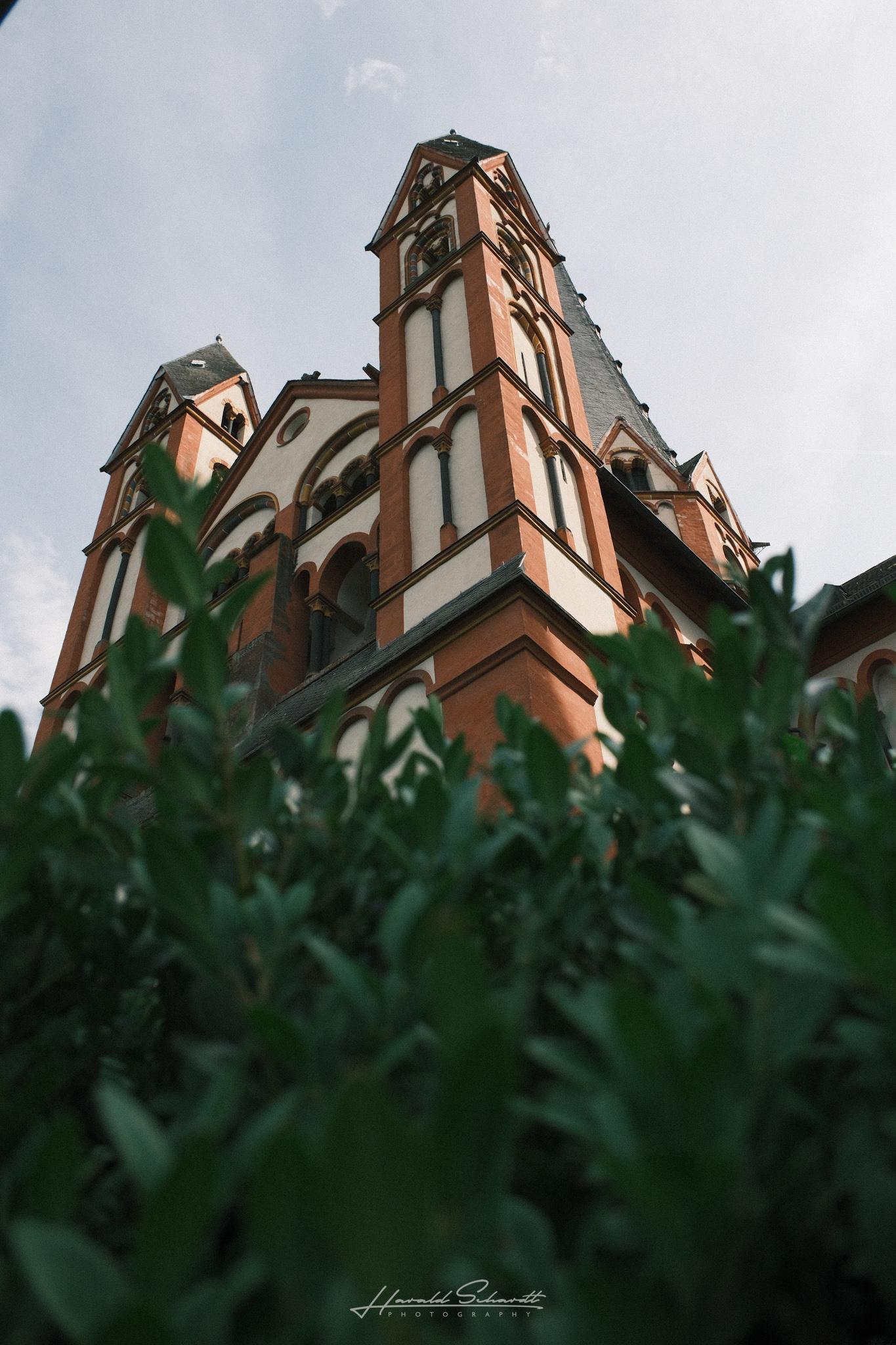 Limburg Cathedral photographed from a low angle behind green hedges.