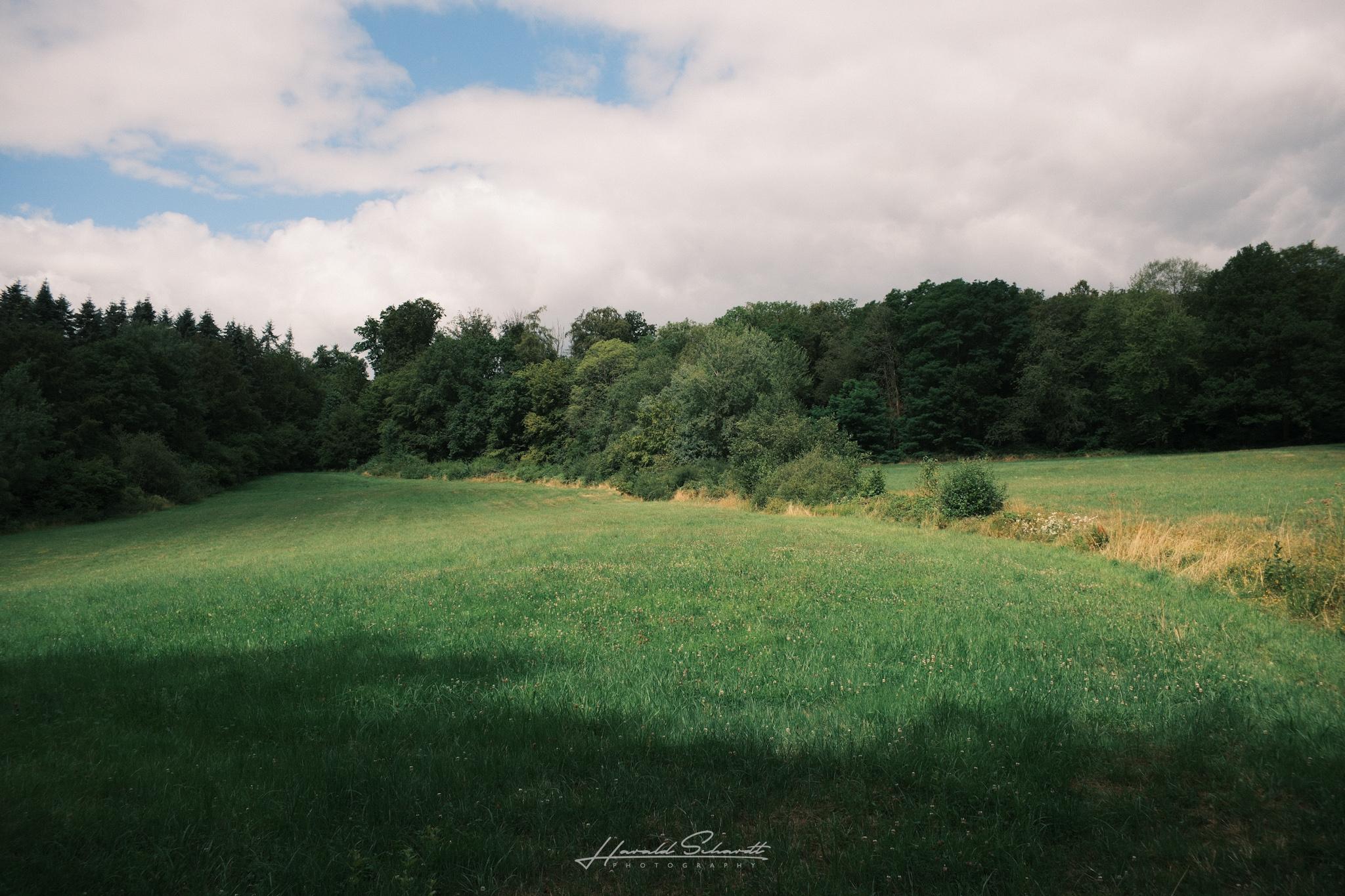 Open green meadow bordered by dense forest, under a partly cloudy sky.