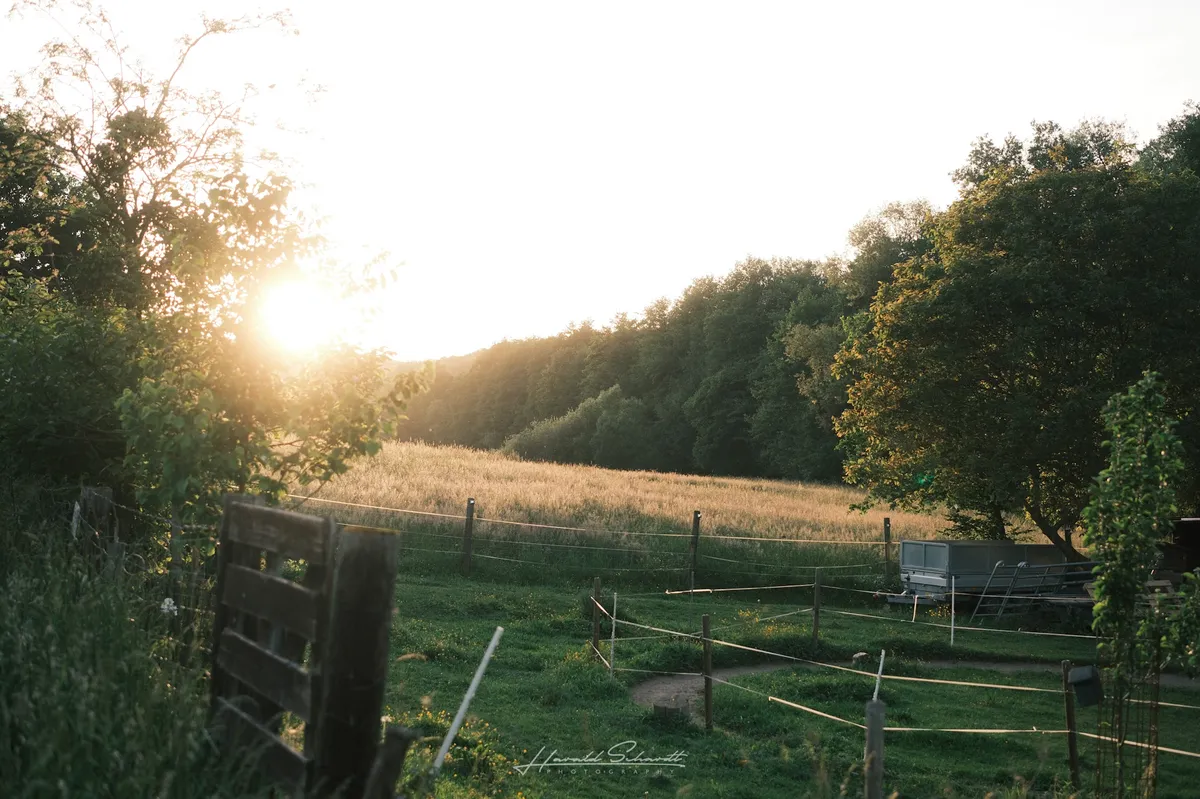 Countryside view during golden hour with fields and trees.