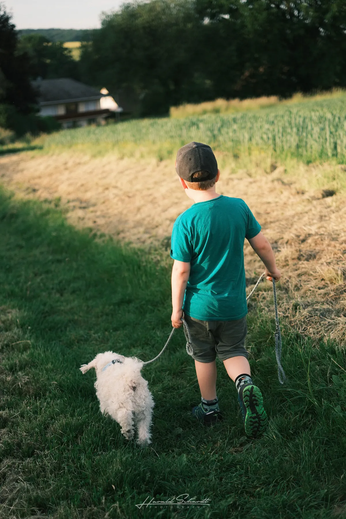 Child and dog walking along the edge of a field.