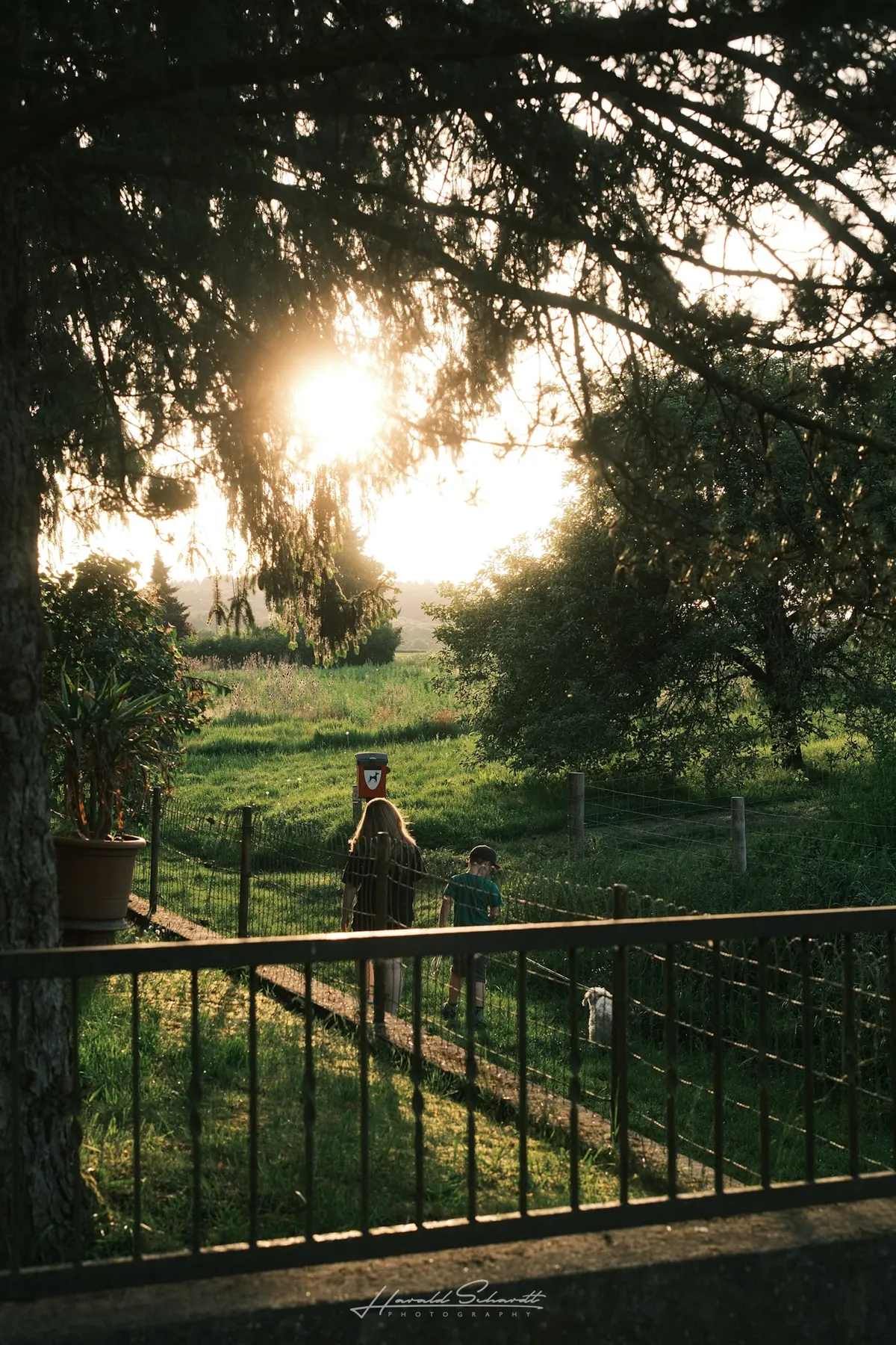 View through a fence onto a field path in the evening light.