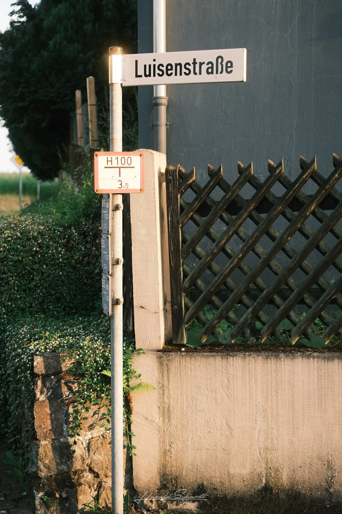 Street sign and garden fence in warm evening light.