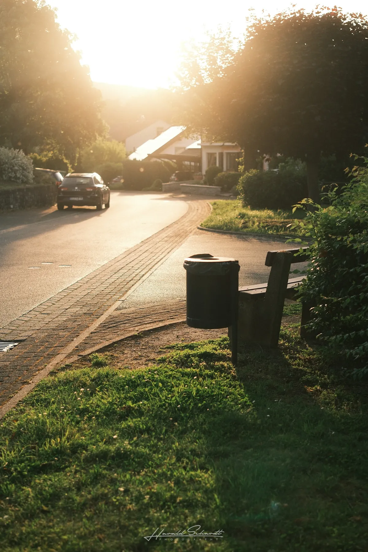 Quiet village street during golden hour.