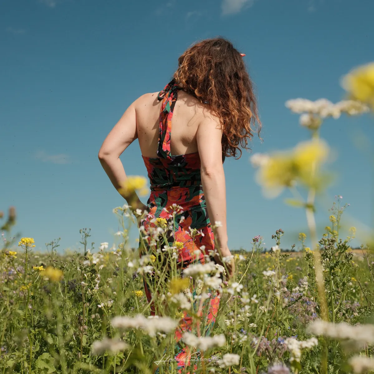 A woman seen from behind, standing in a wildflower meadow in a floral dress. Yellow rapeseed fields and blue sky in the background.