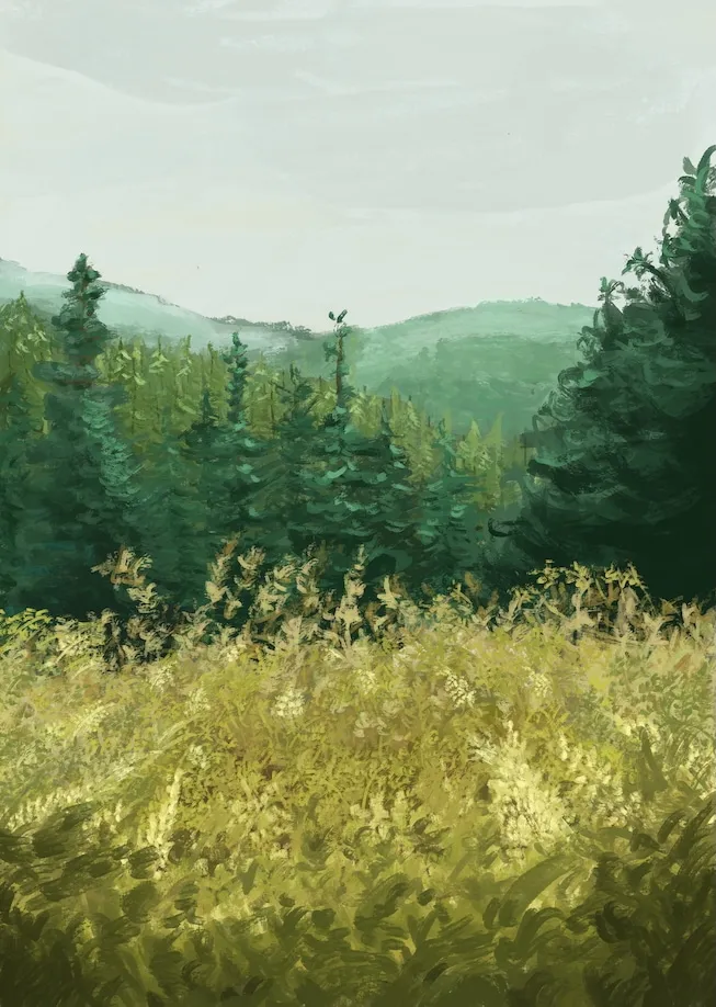 02-gaspesie