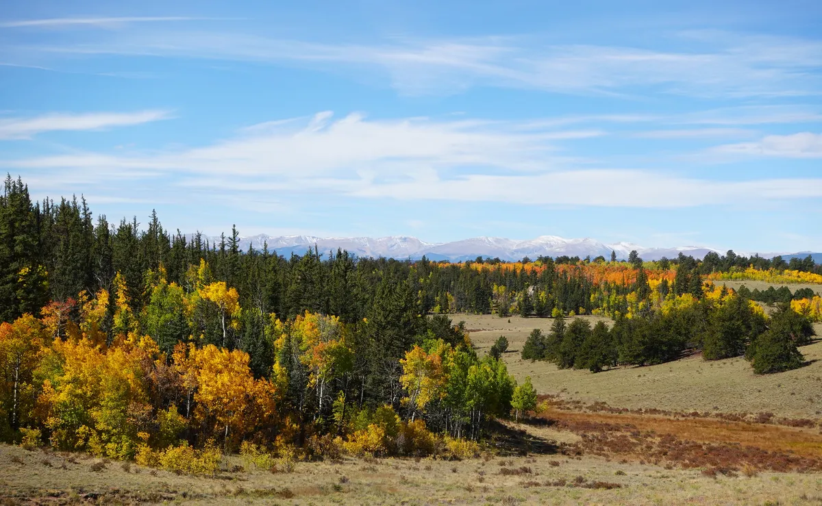 co autumn loganletsgo