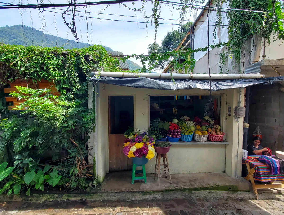 fruit stand guatemala loganletsgo