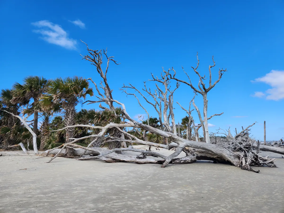 loganletsgo_jekyll driftwood