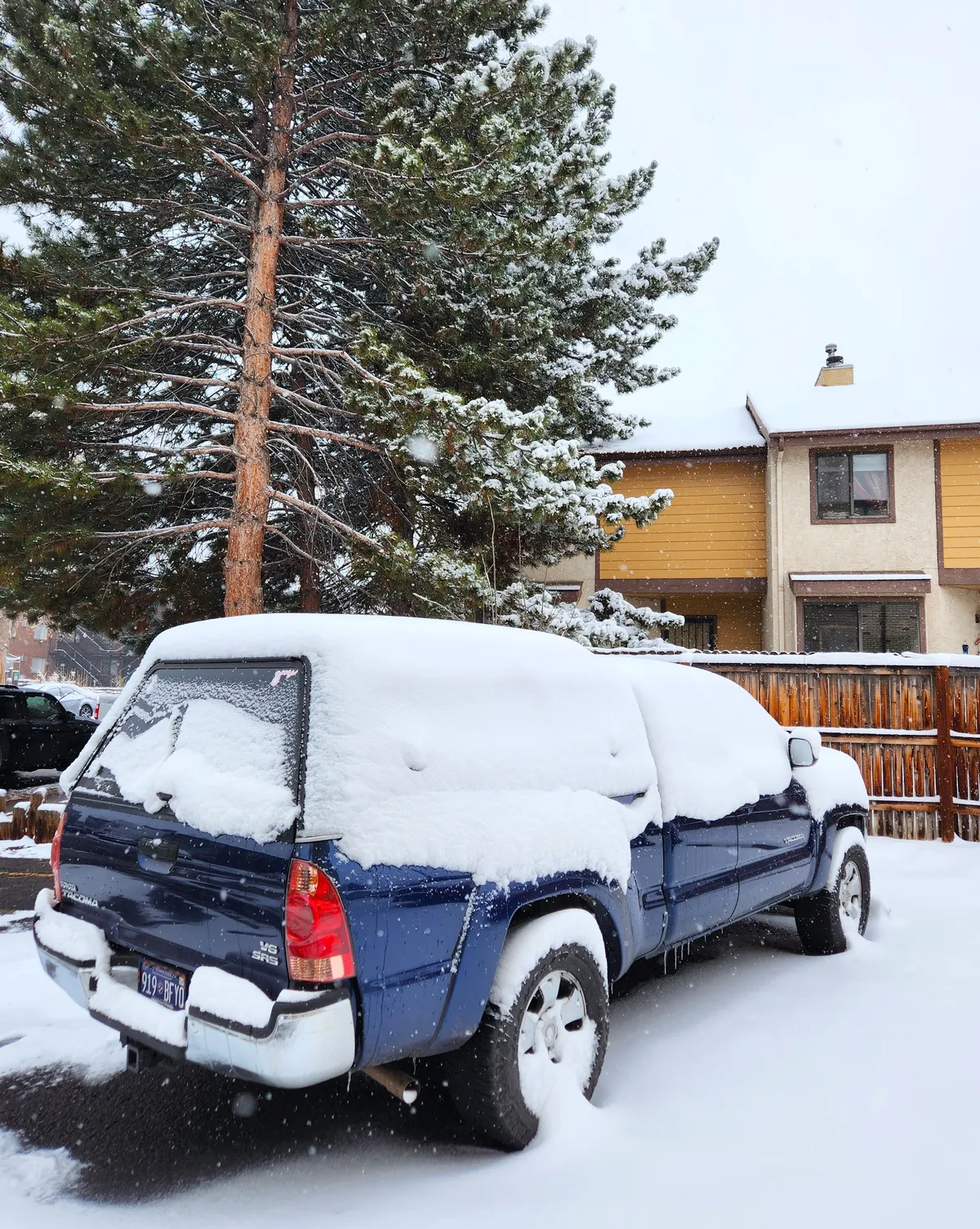 snowy taco_loganletsgo