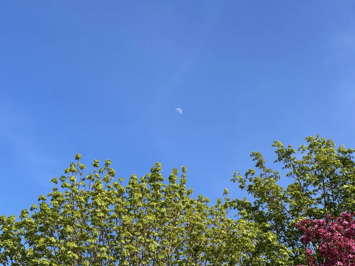Lua