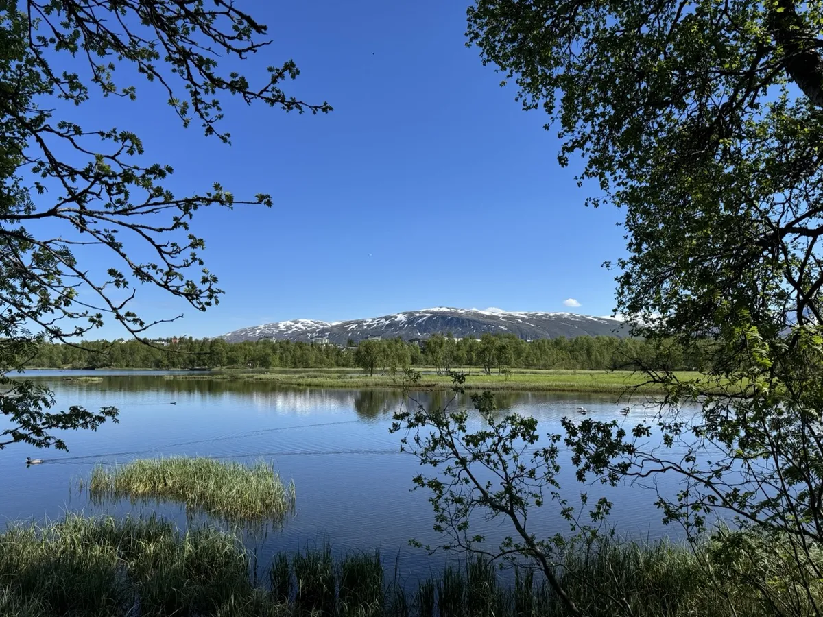 Prestvannet Vista 