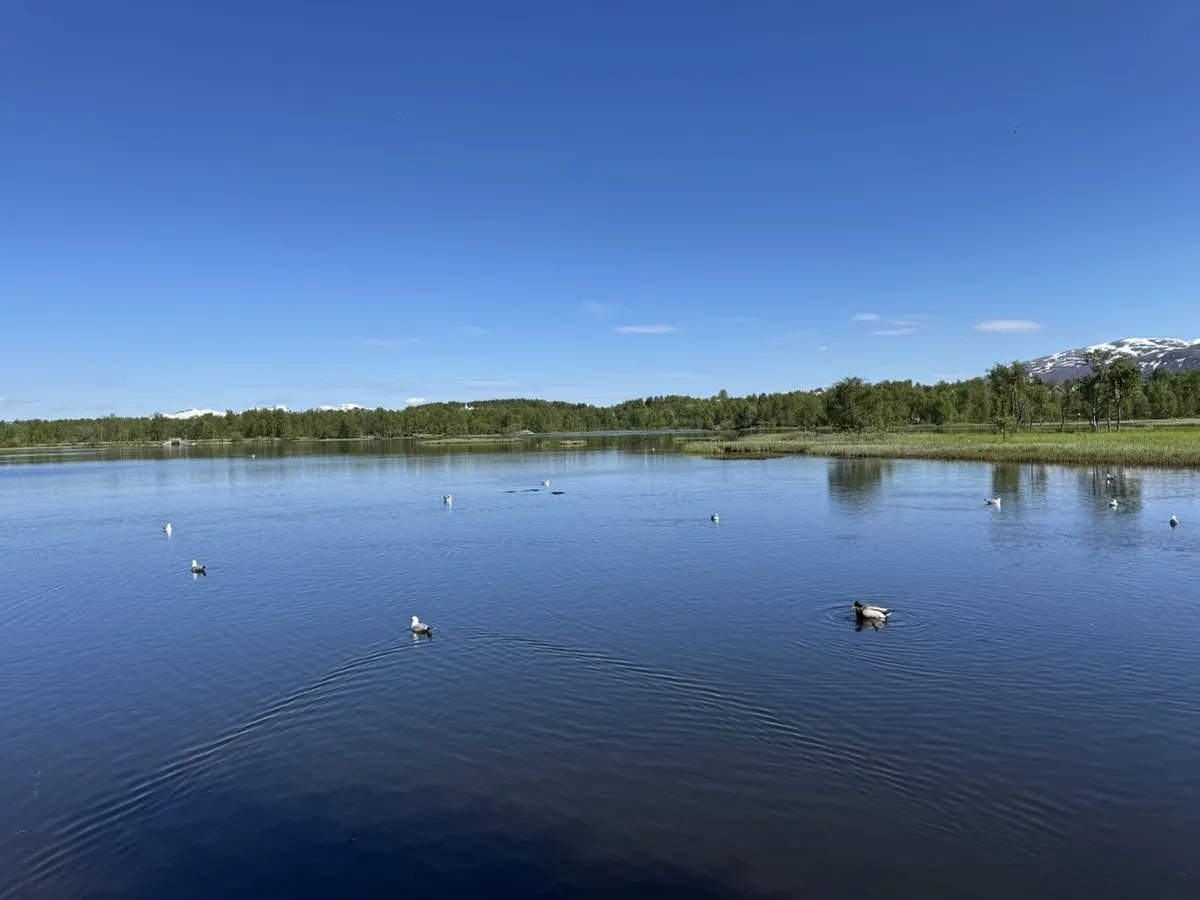 Prestvannet 