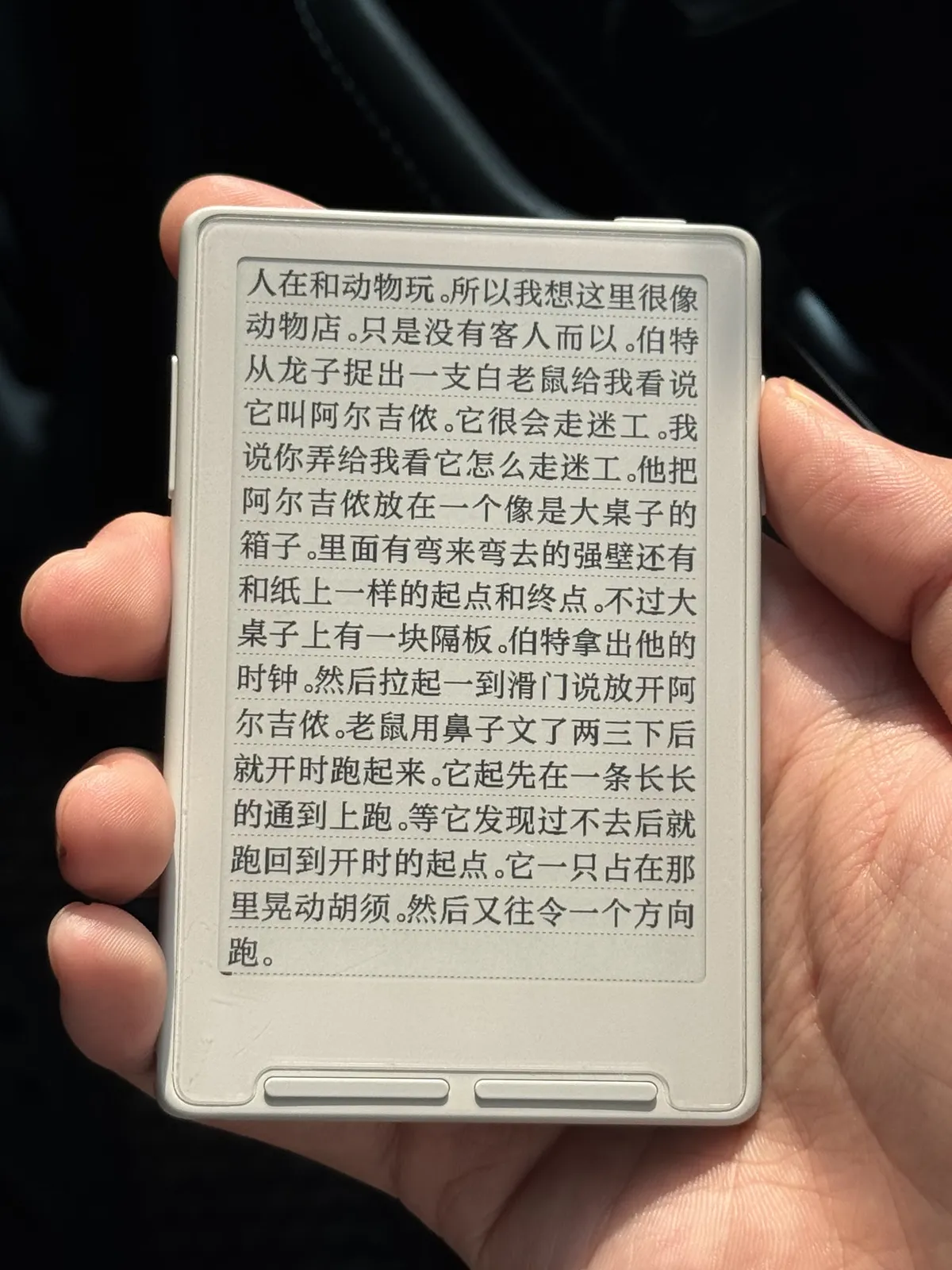 Crosslink 的阅读界面
