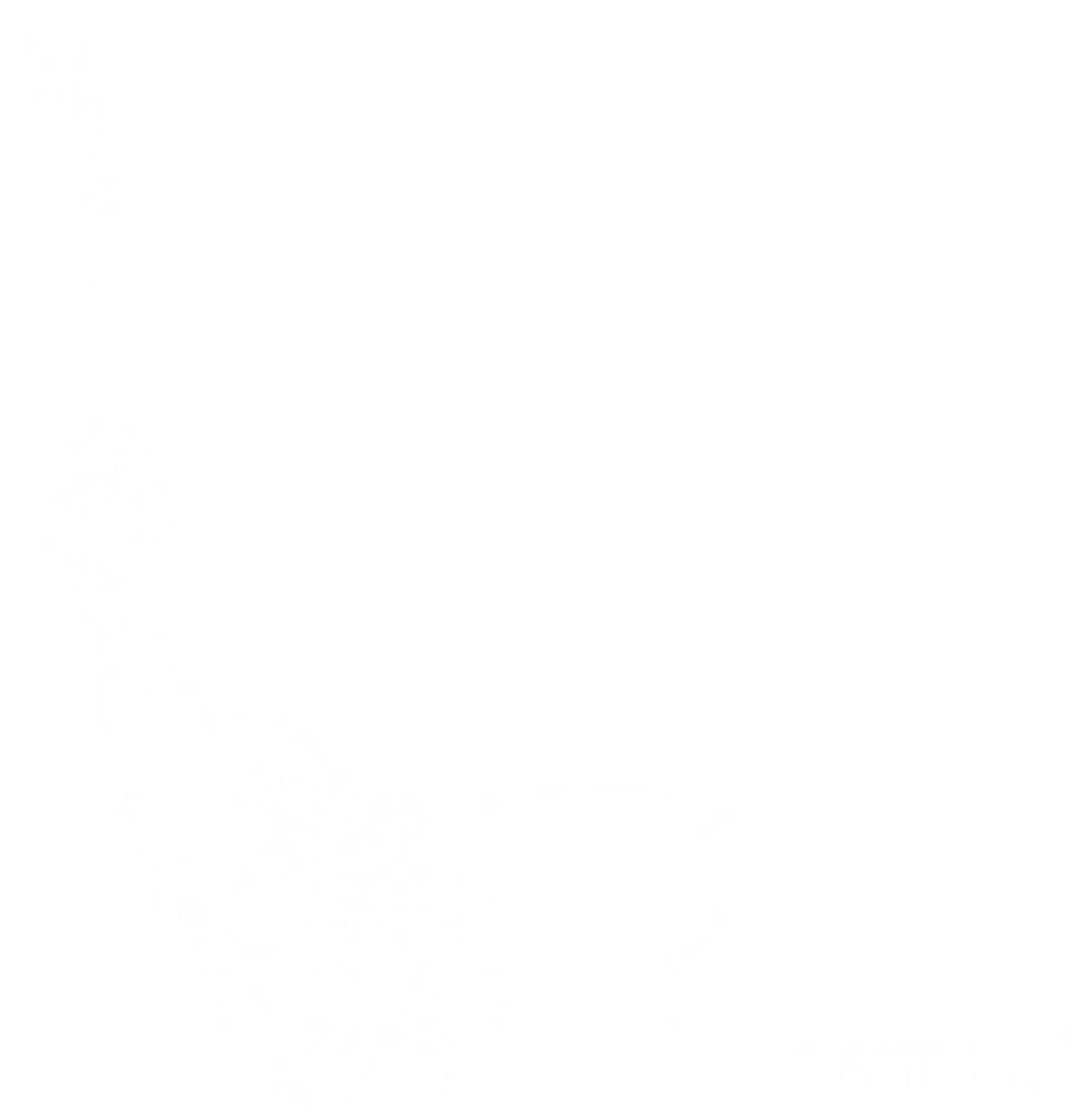 Fight on