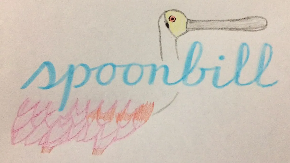 A traditional, colored pencil drawing of a roseate spoonbill.
