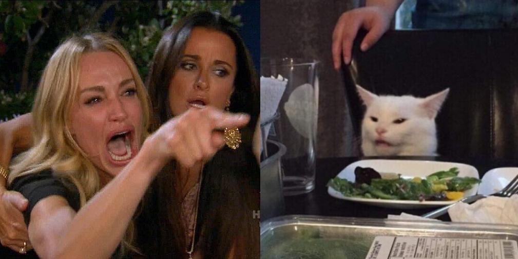 An image depicting a blonde woman (on the left) yelling at a white cat (on the right).