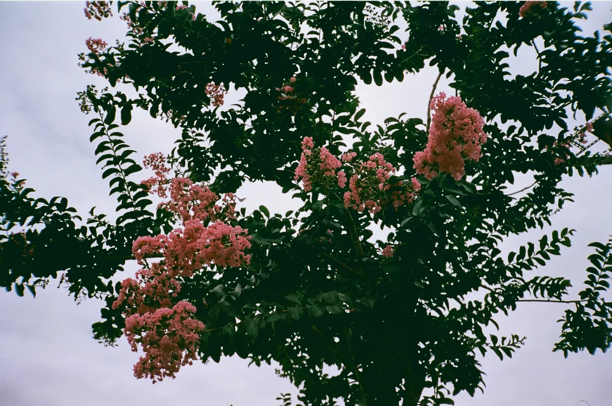 0012_15