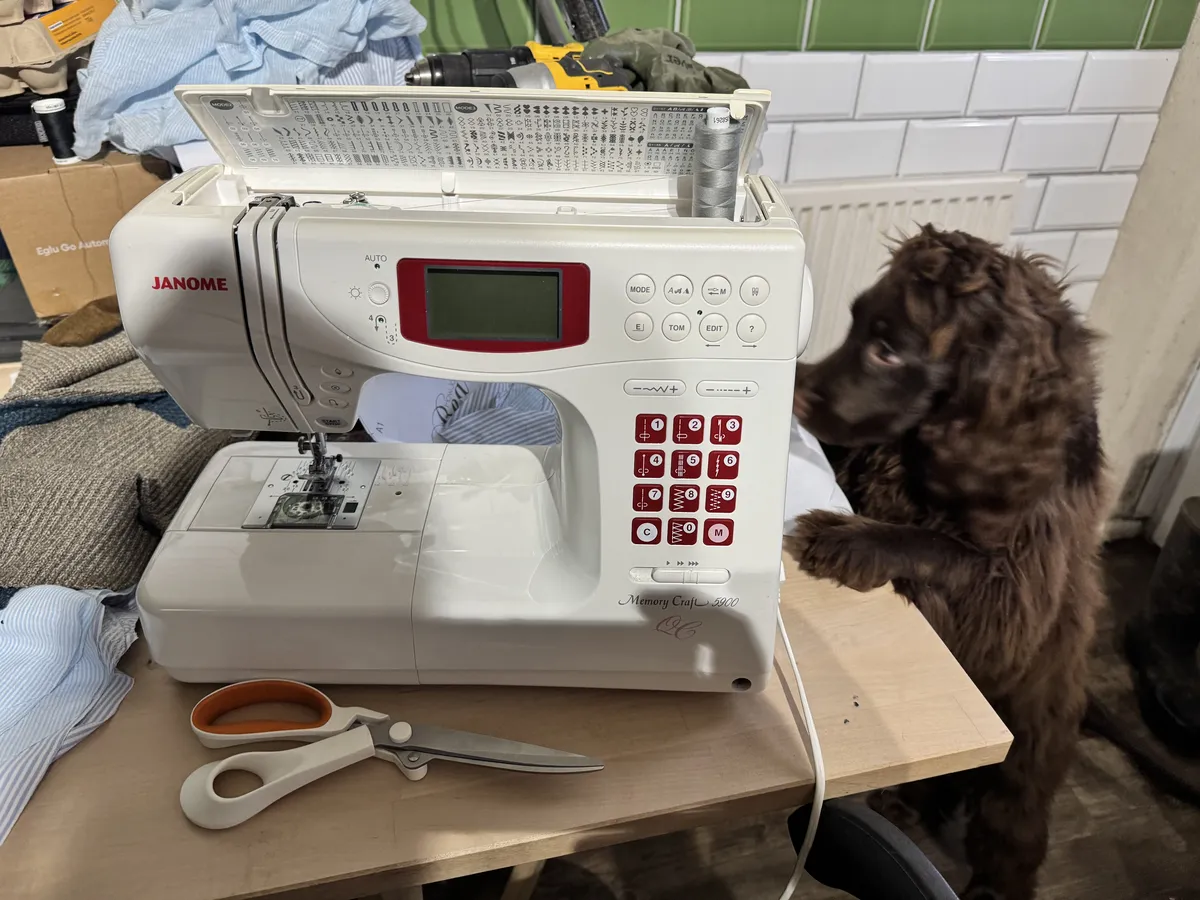 Spaniel sewing
