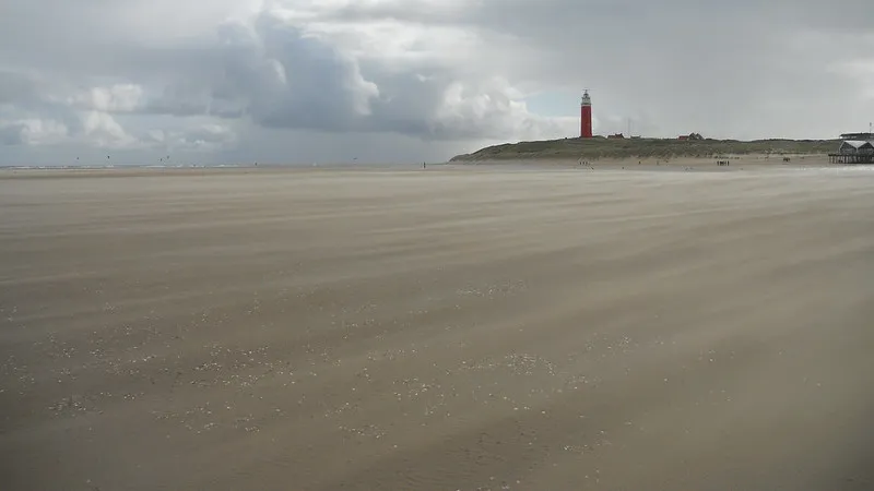 texel