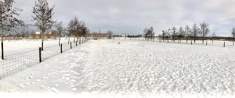 WinterWonderland