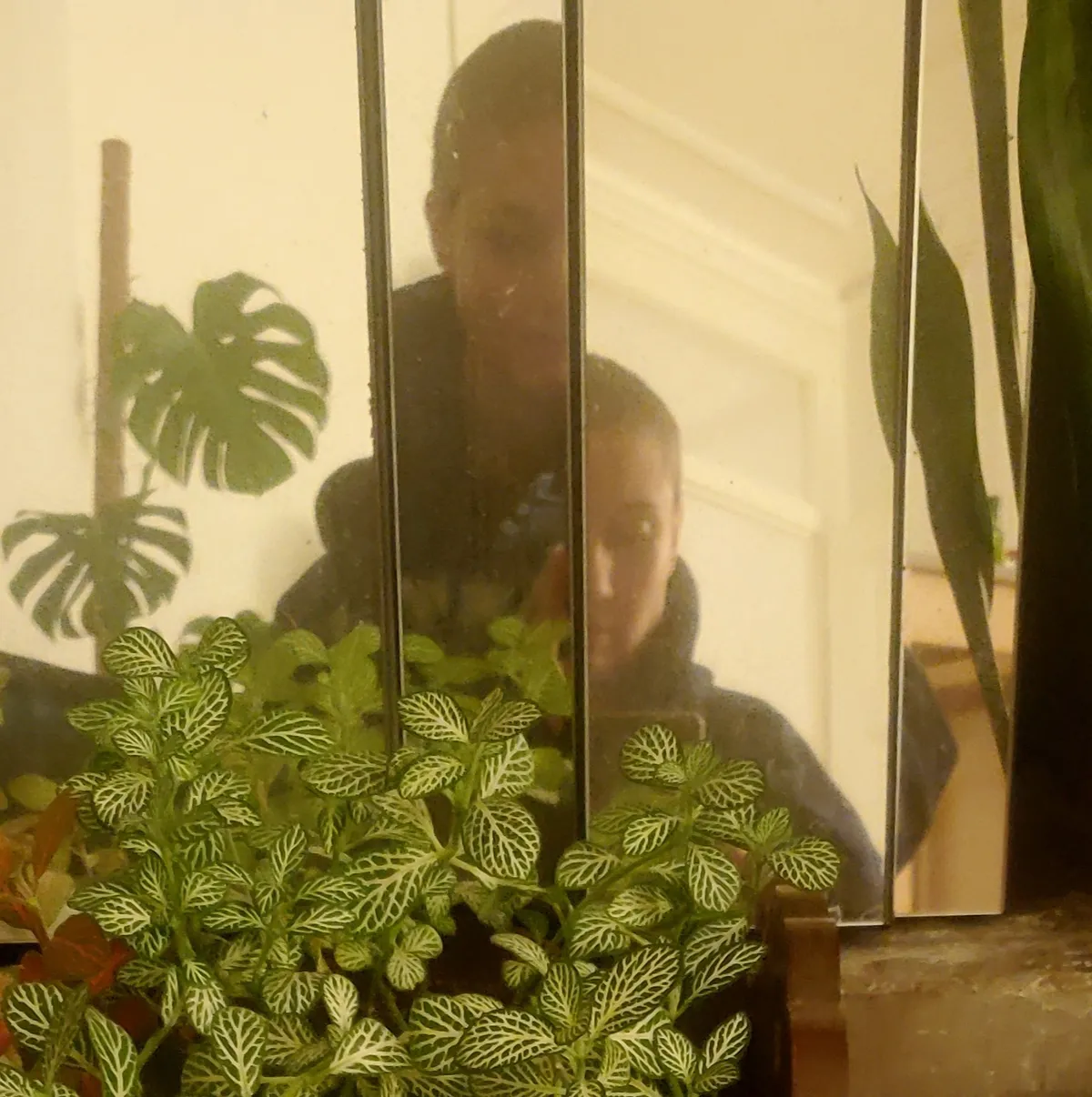 Photo de moi avec le crâne rasé prise avec un téléphone de mauvaise qualité face à un miroir. Le miroir est en plusieurs parties, ce qui découpe mon reflet en 2 parties. Je suis entourée de plein de plantes vertes en pleine forme.