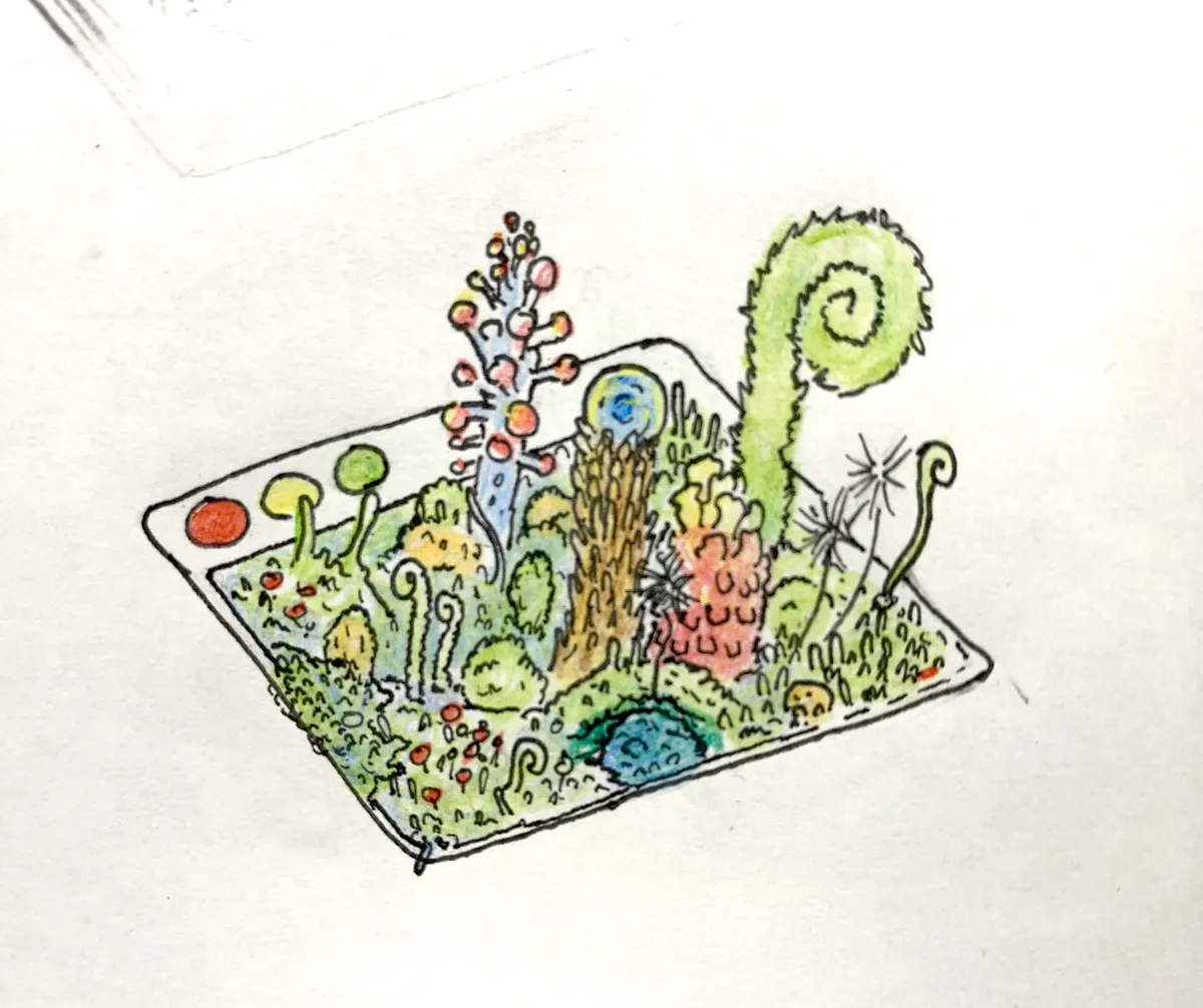 allotment garden