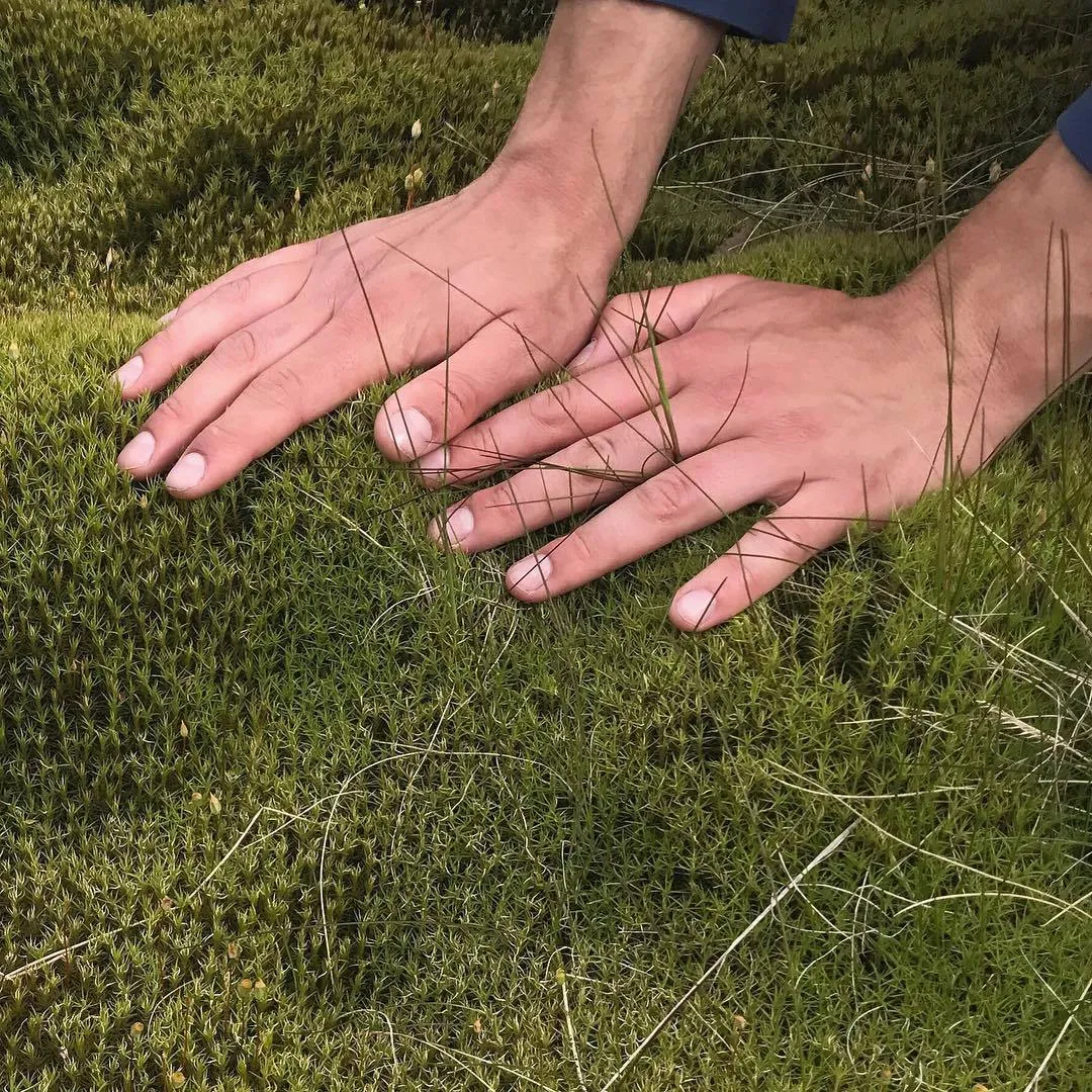 touchgrass bearblog