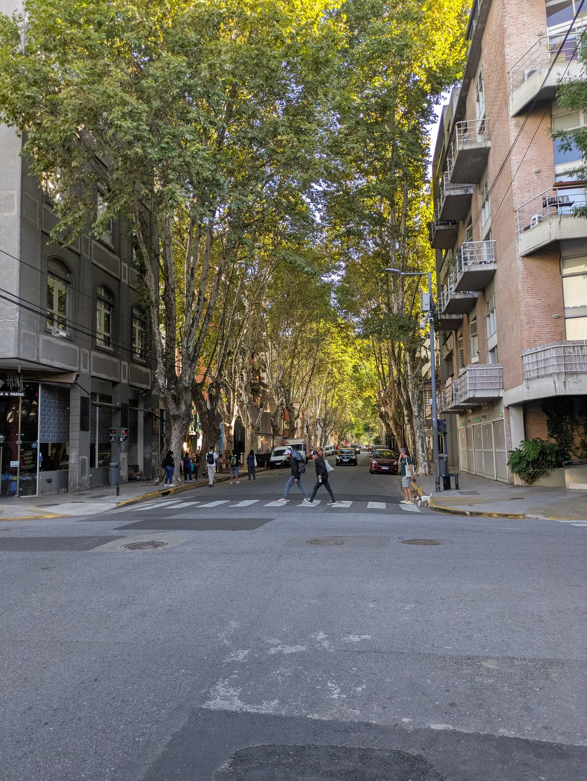PXL_20260325_195518557