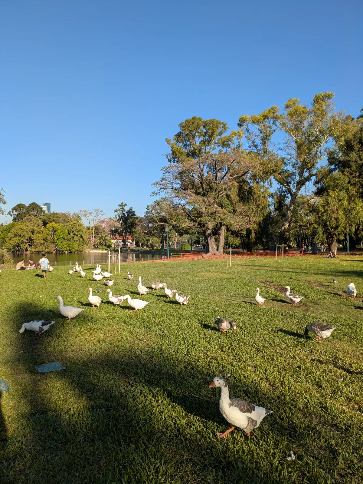 PXL_20260325_202103756