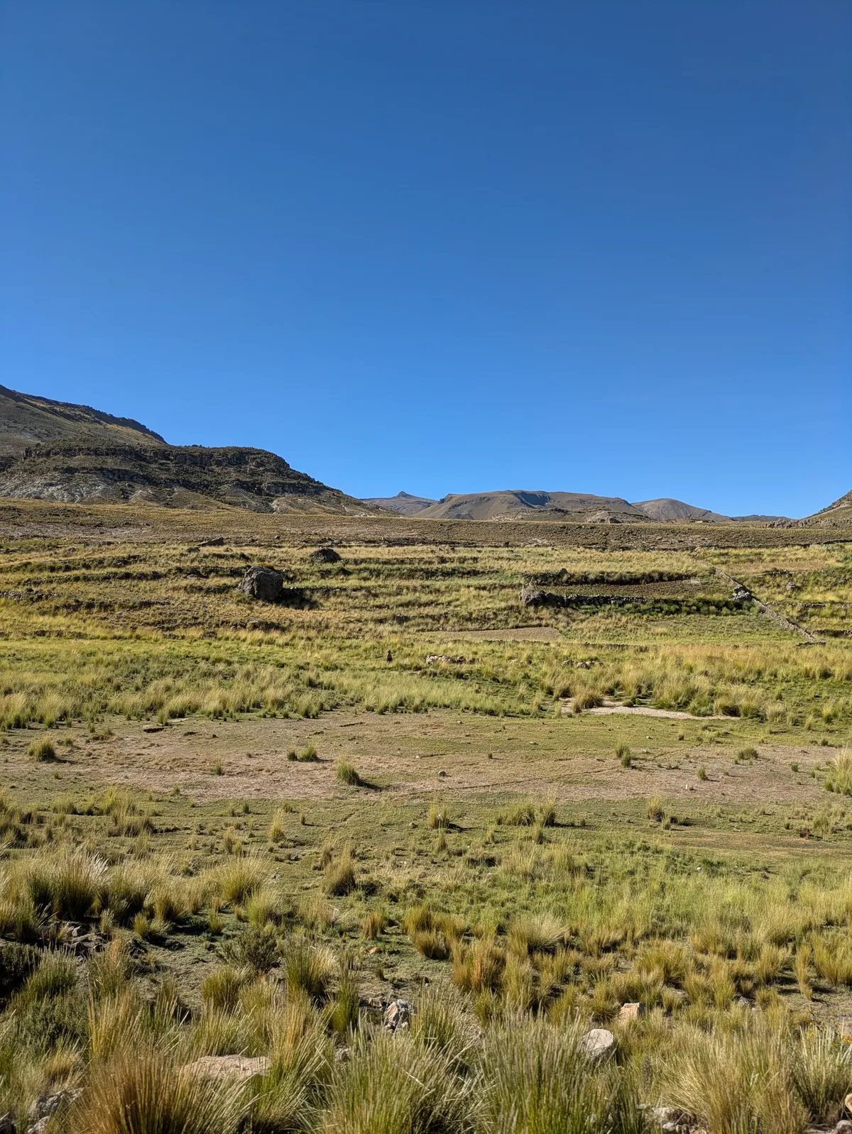 PXL_20260317_201108309