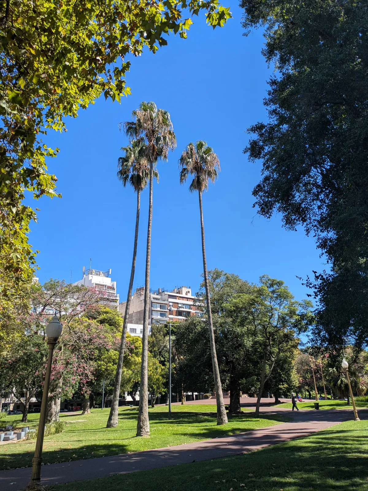 PXL_20260326_155343138