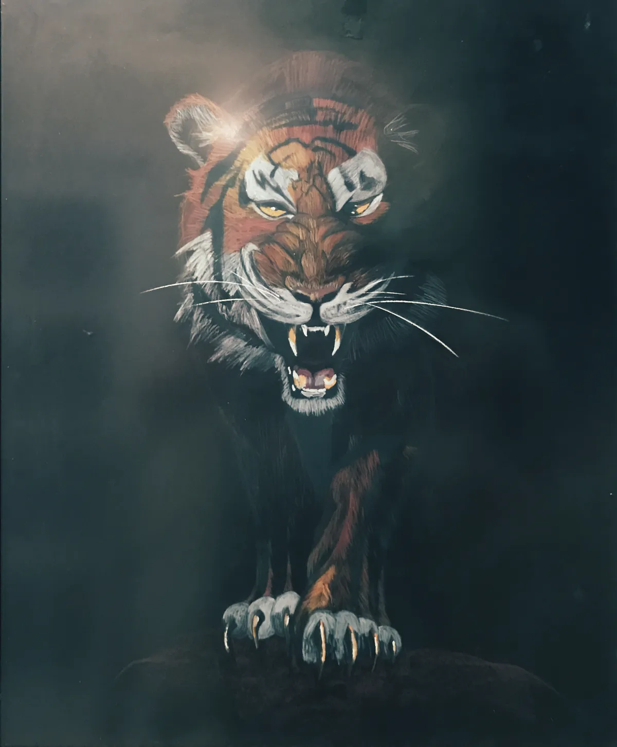 tiger from the dark