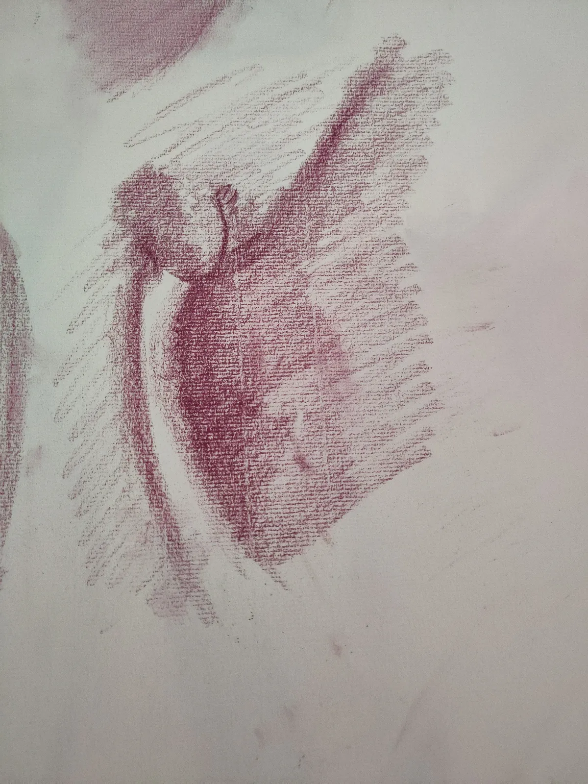 vulva-02