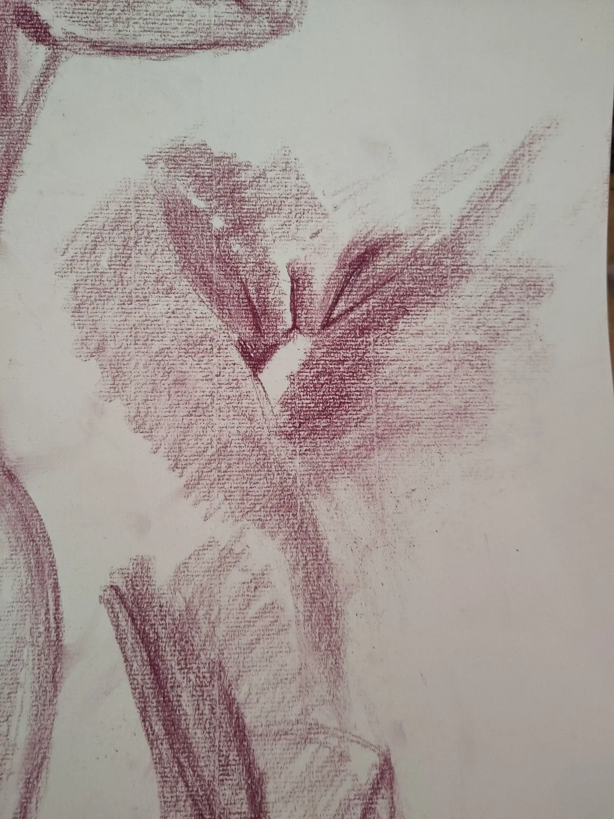 vulva-03