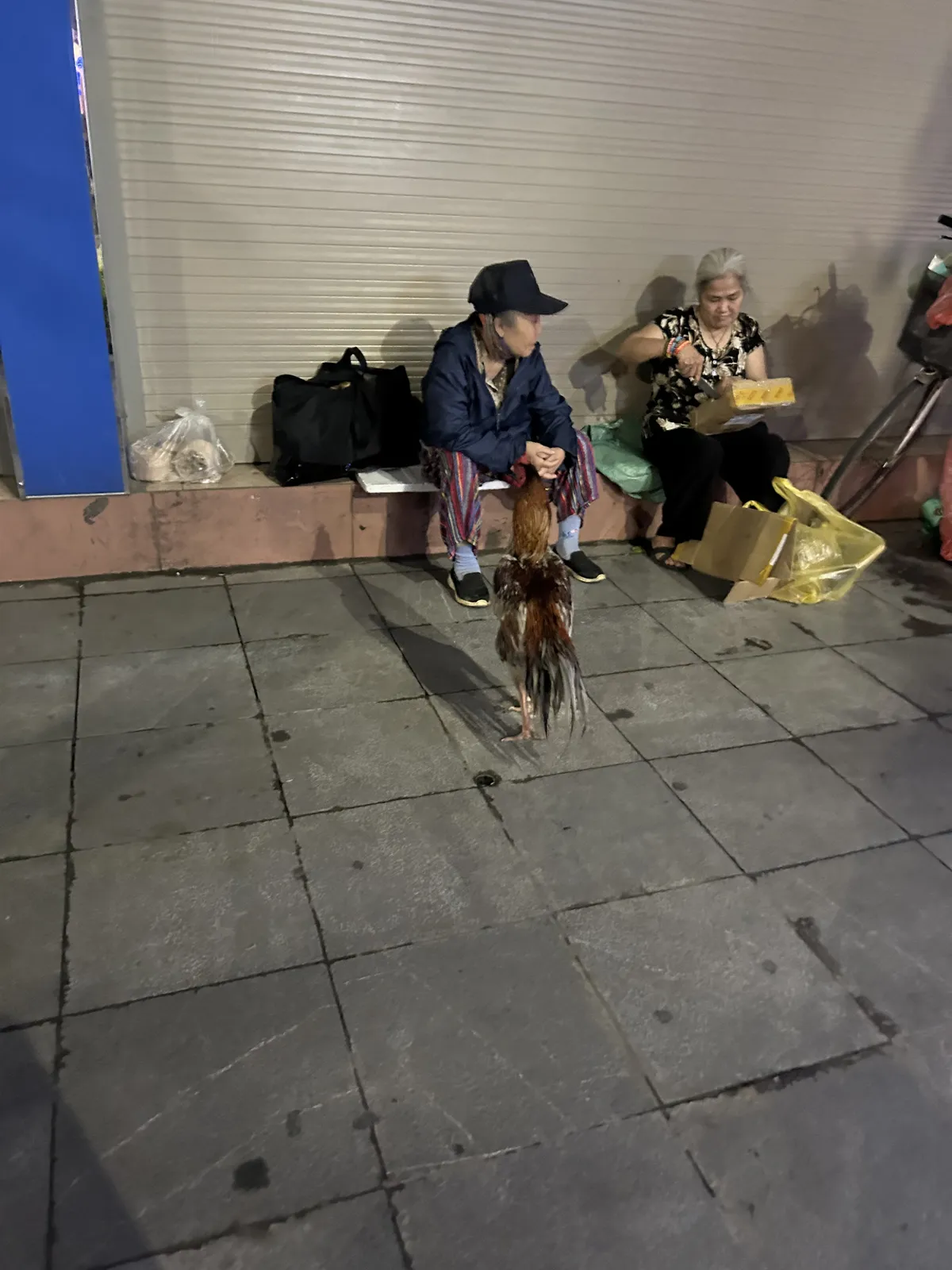 IMG_2364