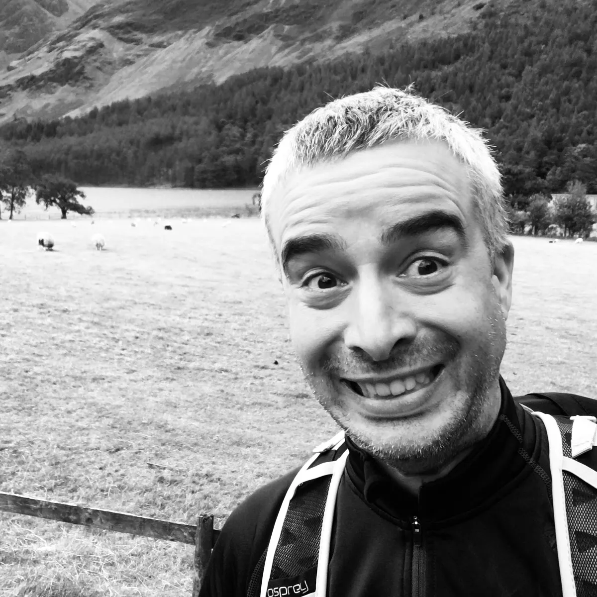 bear-images.sfo2.cdn.digitaloceanspaces.com image