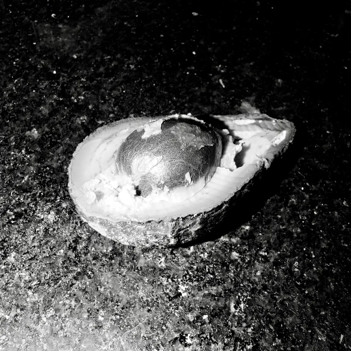 Black and white photo of half avocado over a marble counter