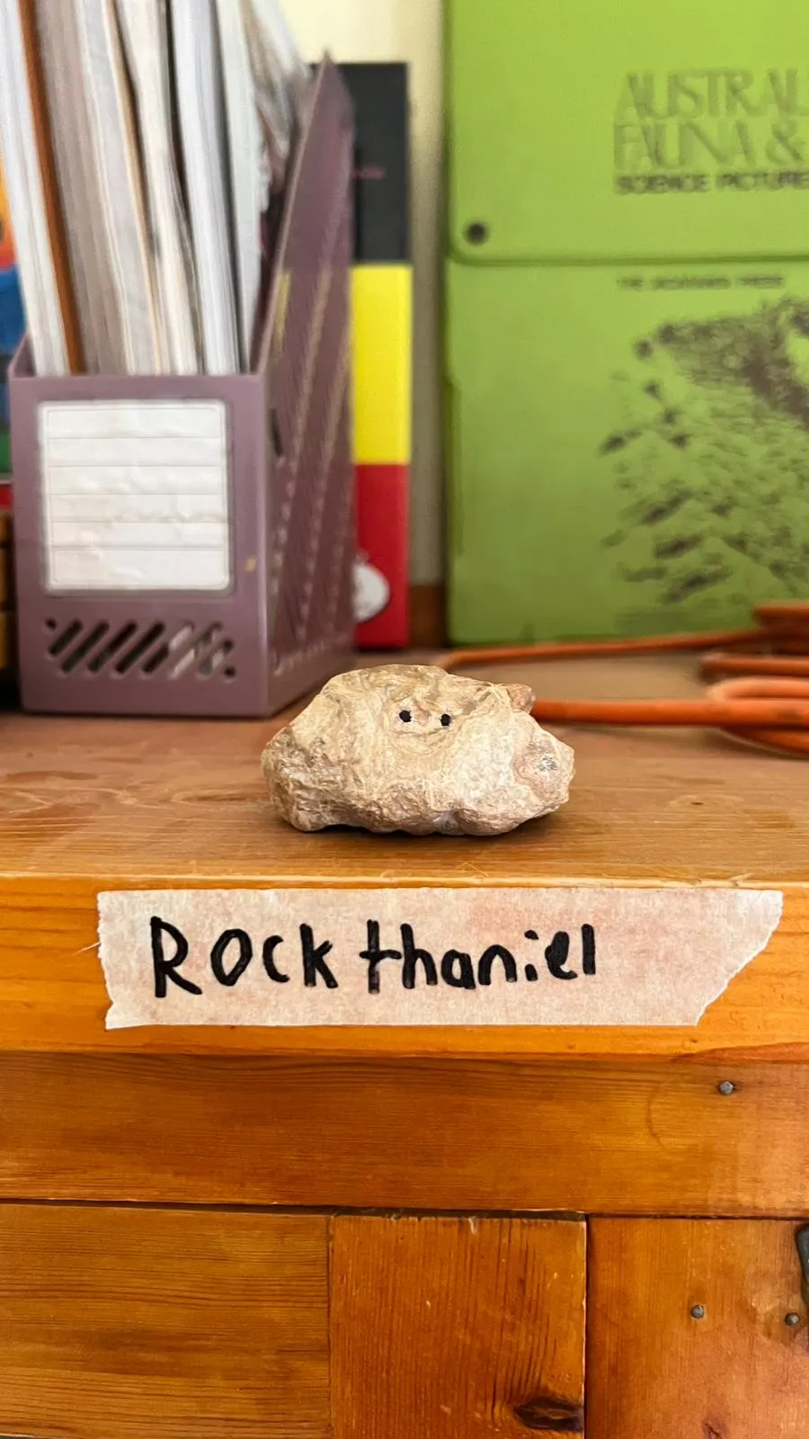 A Rock On A Shelf