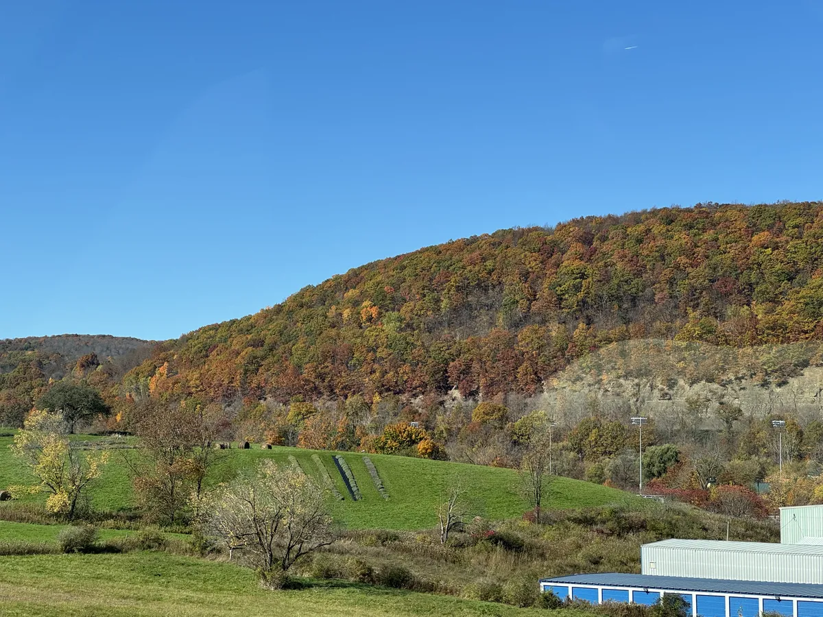 Autumn in NY
