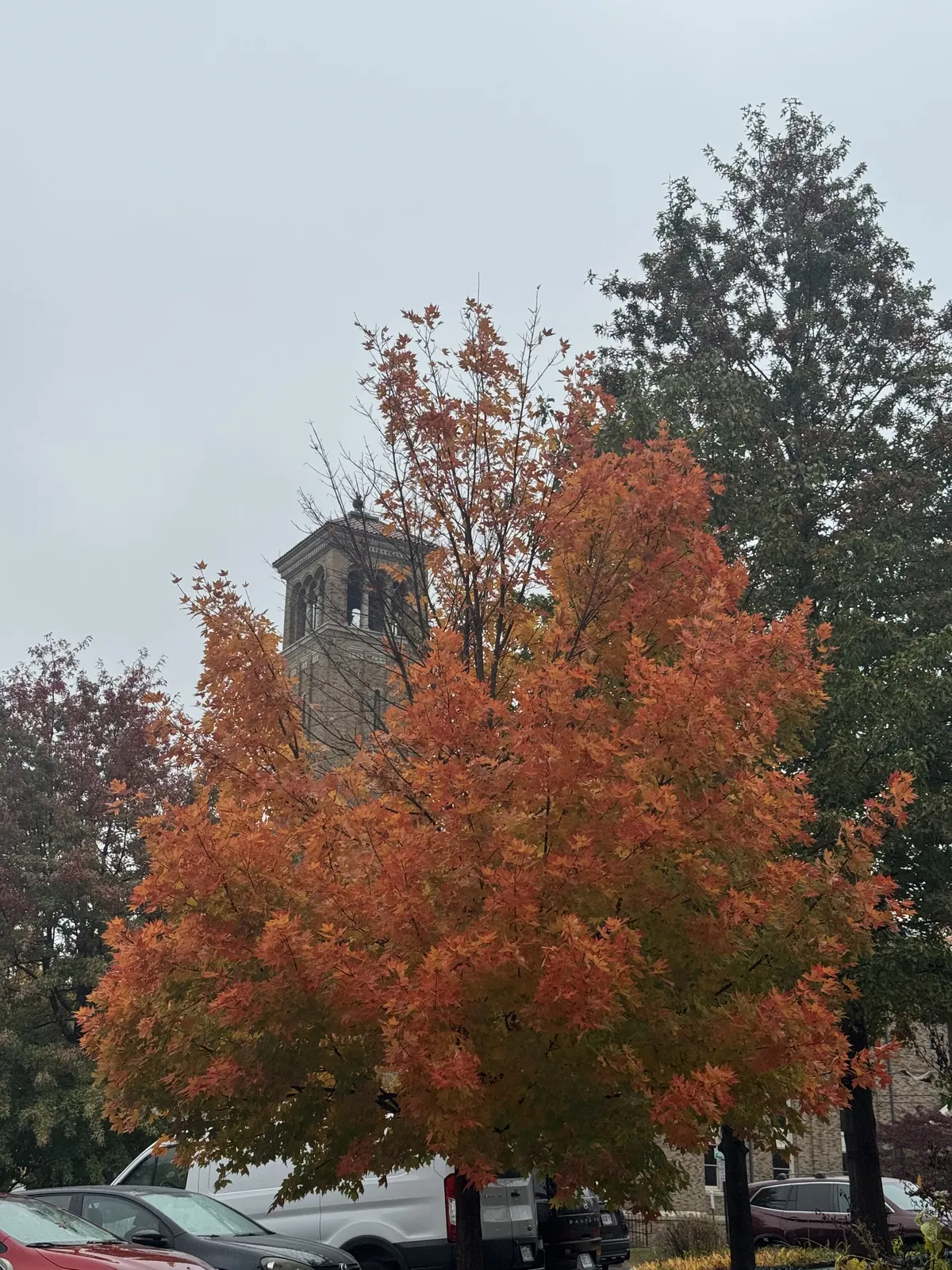 Fall in Northampton