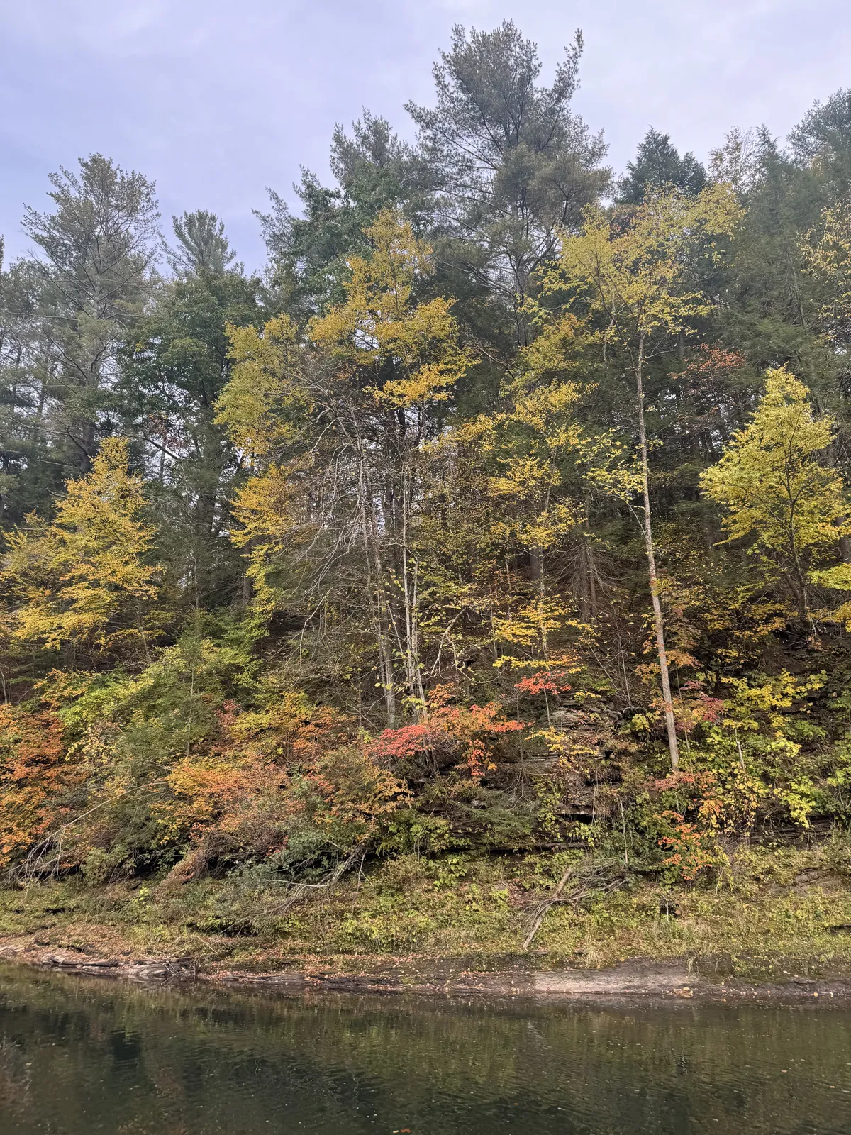 IMG_5747