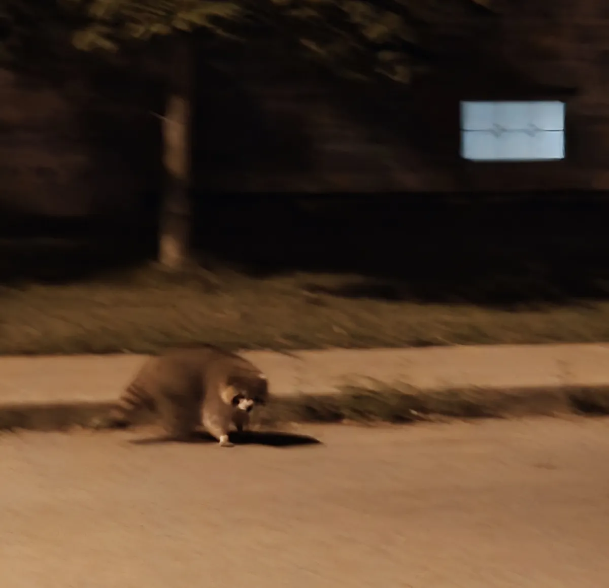 20260808_000737