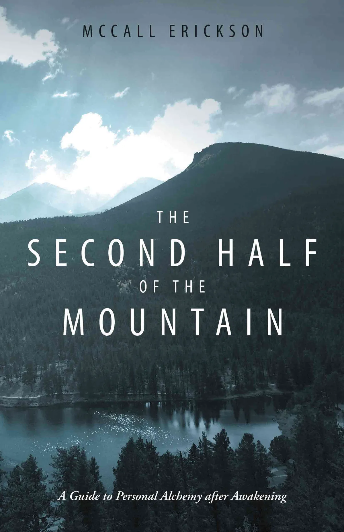 Original Book Cover 
