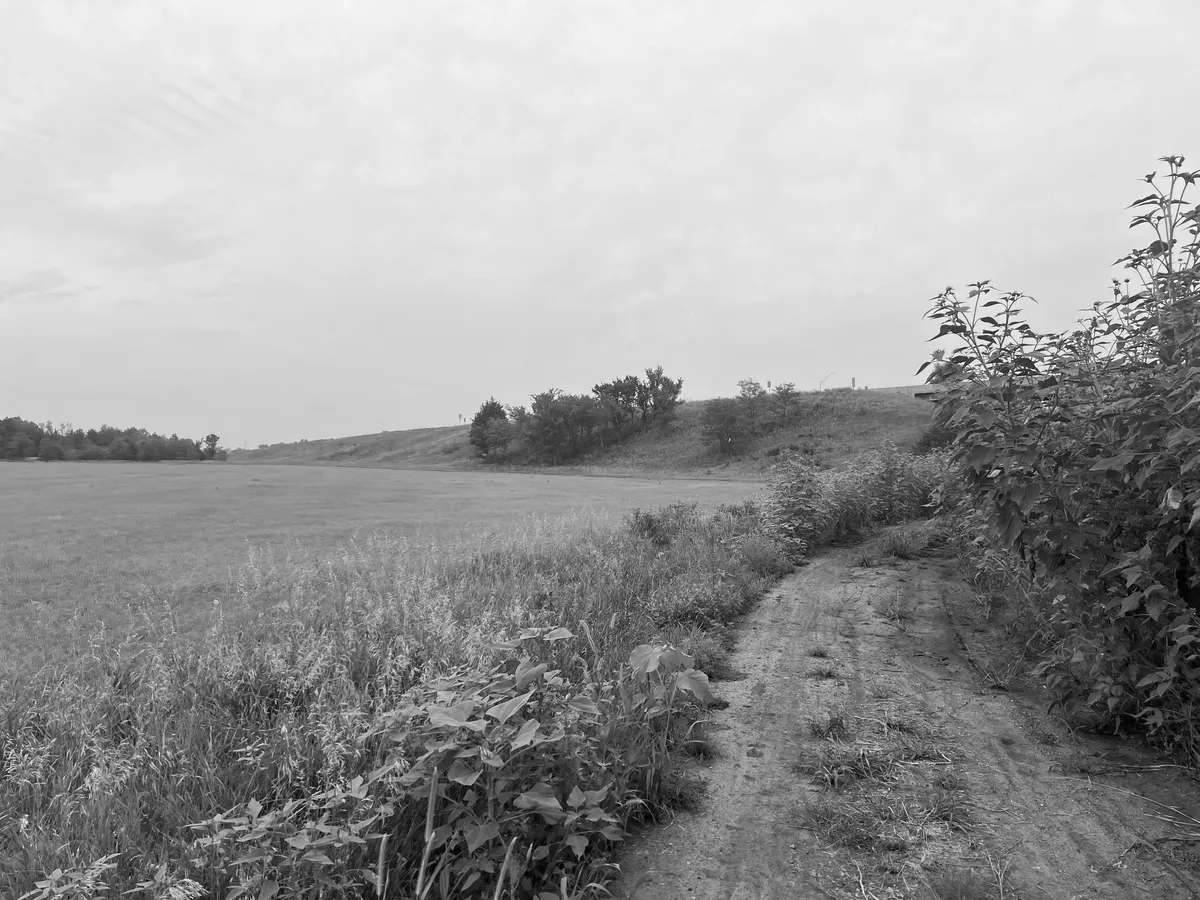 IMG_8172_bw_edit