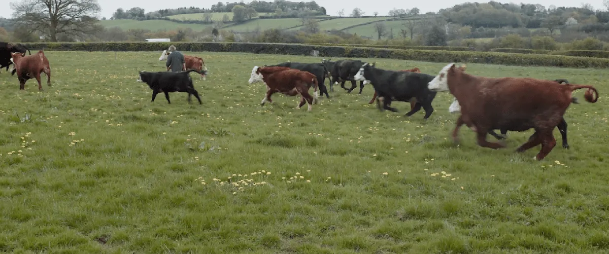 November 28 2024-min