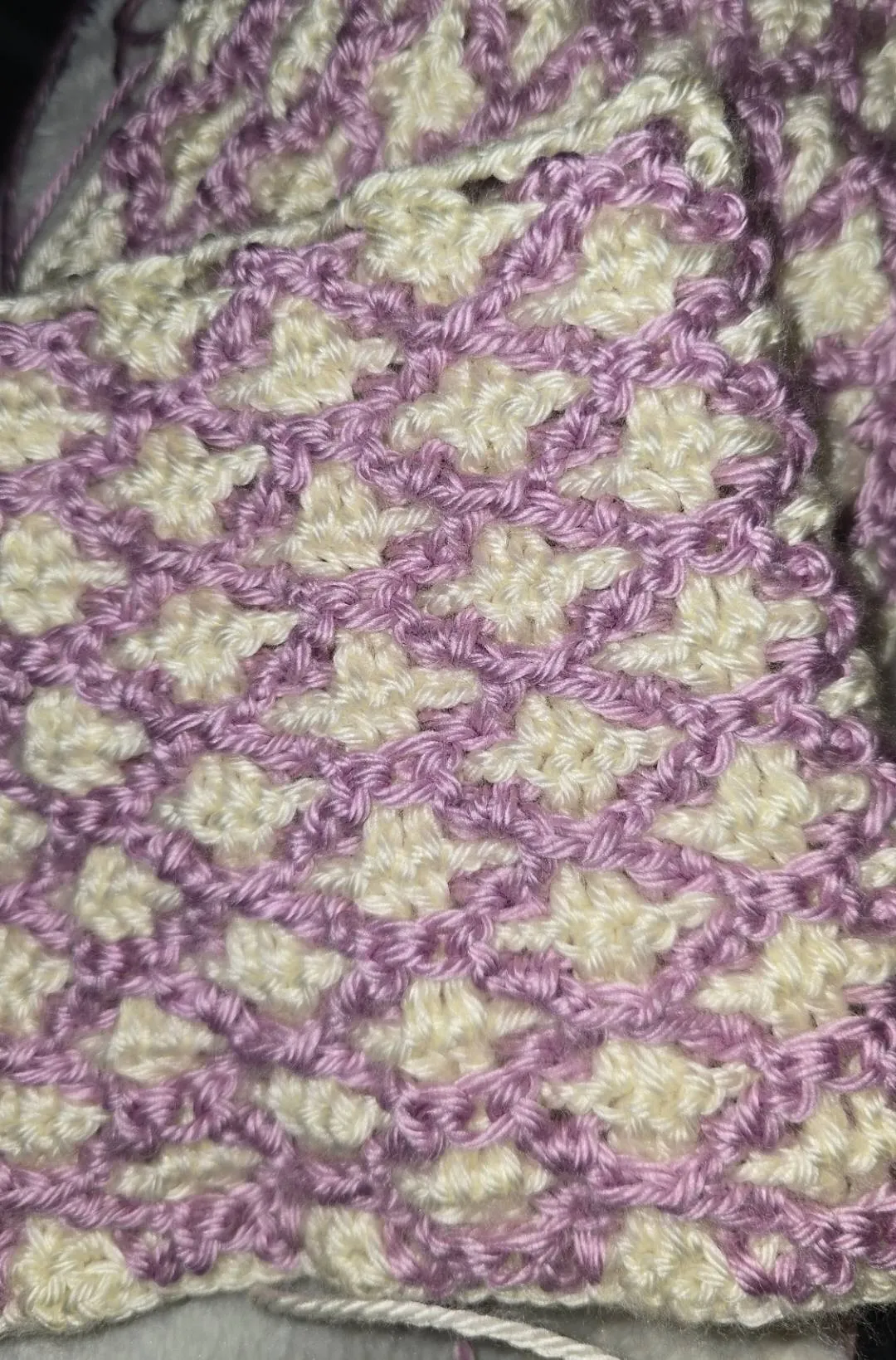 Screenshot_20260323_225135_Gallery