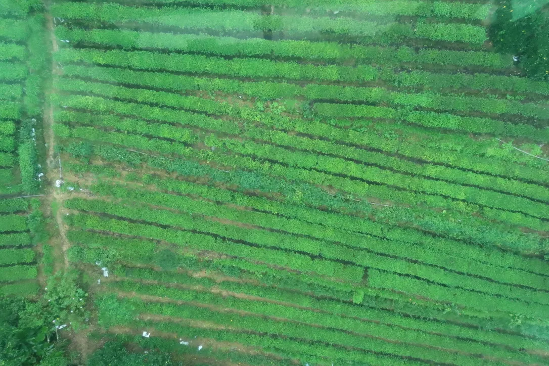 2E6E8E95-2BB9-4487-B931-14776ACA01B3_1_105_c