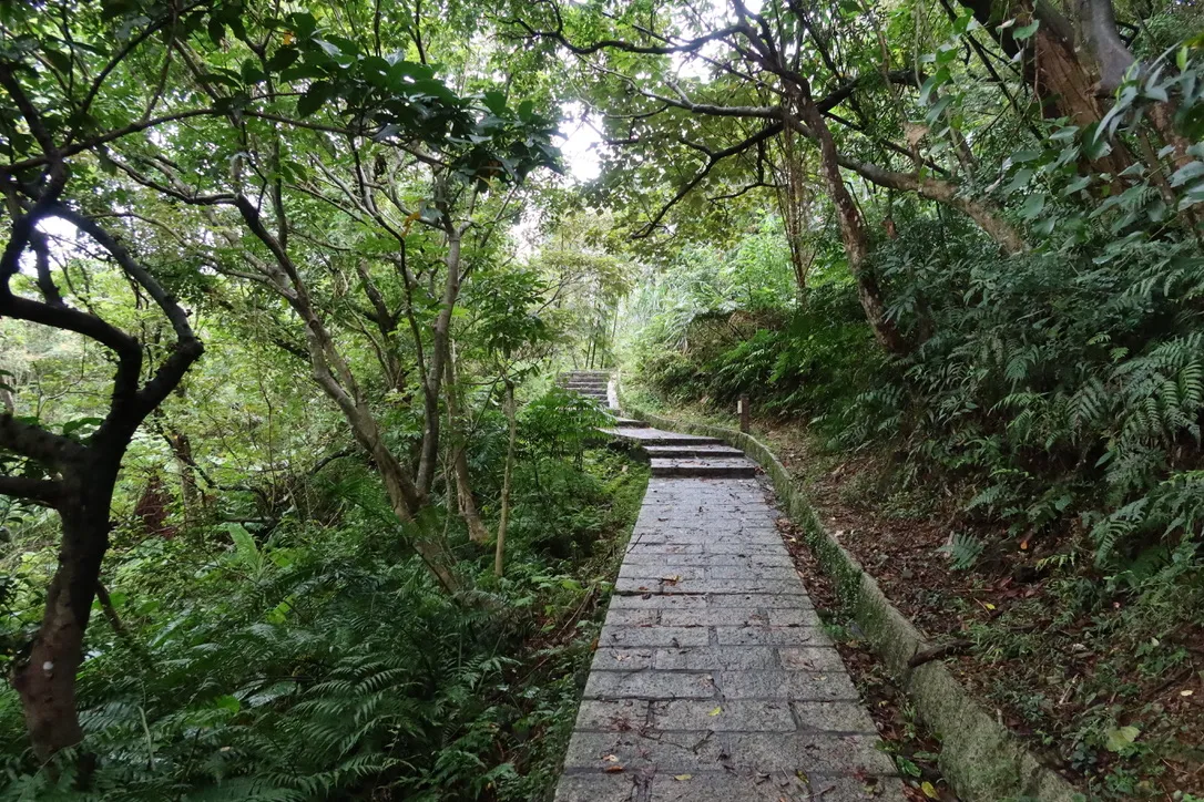 2F687E8C-5416-441E-A563-859DECDC0602_1_105_c